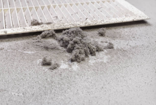 Best Ventilation Cleaning Services  in Montgomery, AL